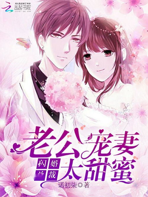 闪婚宠妻进行时闪婚后我带憨夫总裁逆袭人生短剧在线免费观看全集资讯 --第1张