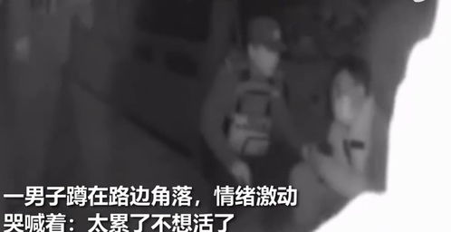 夜先生的心尖宝，捡的小可怜美人有大智慧--第1张
