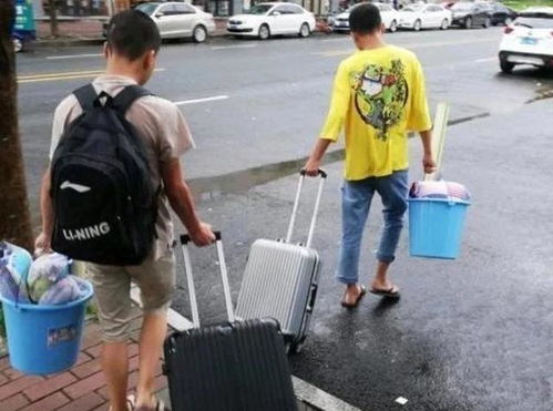我提着一桶钻石上门提亲短剧在线免费观看全集资讯--第1张