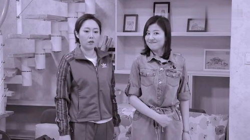 全集免费观看--第1张