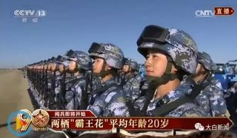绝世枭龙短剧，全集免费观看，最新资讯--第1张