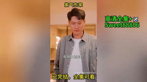 紫气东来短剧在线免费观看全集资讯 紫气东来电影--第1张
