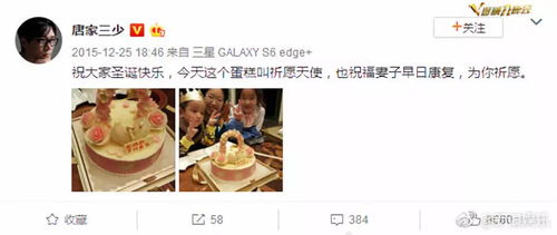 ，夫人陆总已死请节哀，短剧在线免费观看全集资讯--第1张