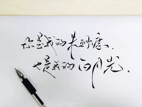 你是我的掌心朱砂痣--第1张