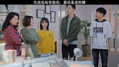 姜还是老的辣短剧全集观看，免费在线观看资讯--第1张