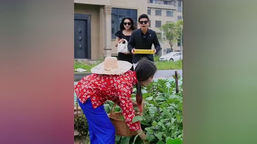 大小姐归来，短剧在线免费观看全集资讯--第1张