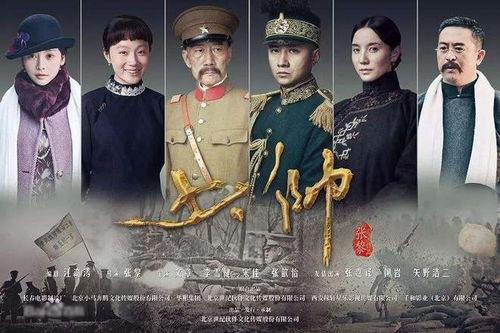 少帅夫人有点野免费阅读全集在线观看--第1张