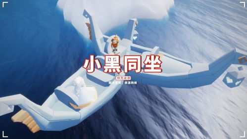 鱼白听晚舟徐兰迪短剧在线免费观看全集资讯--第1张