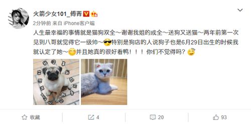 二狗的开挂人生短剧在线免费观看全集资讯 二狗the--第1张