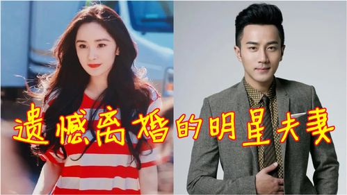 离婚后大明星老婆后悔了，全集资讯在线免费观看--第1张