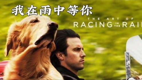 二狗的开挂人生短剧在线免费观看全集资讯--第1张