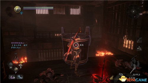 天神殿主短剧，神秘事件背后的真相--第1张