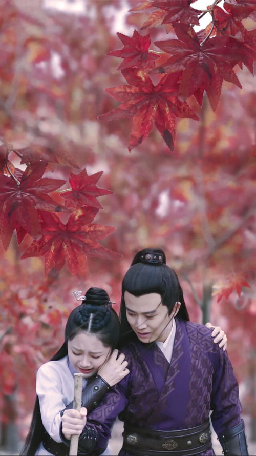 女扮男装后锦衣卫大人爱上我，短剧剧情资讯--第1张