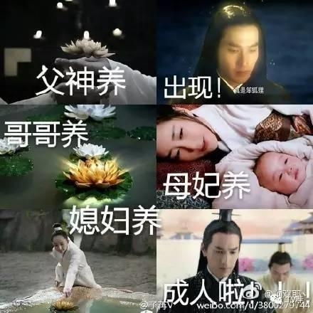 如果还能遇到你短剧剧情资讯 如果还能遇到你短剧剧情资讯在线观看--第1张
