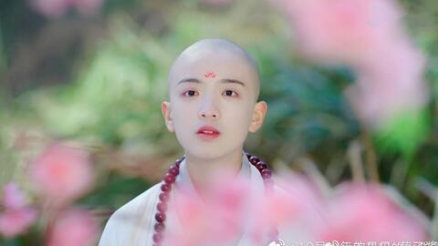 女王的呆萌小和尚短剧剧情资讯--第1张