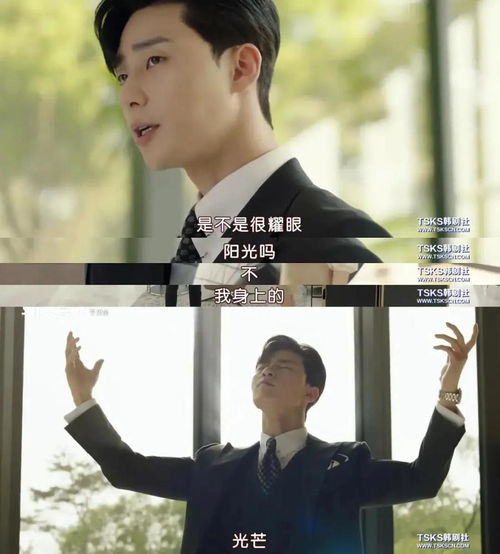 总裁秘书她逃跑了短剧剧情资讯 --第1张