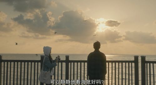 新南风拂我意，他与南风皆过客——短剧剧情资讯--第1张