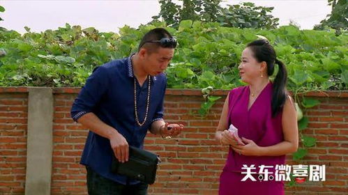 乡村潜龙，小神医木瓜的剧情资讯--第1张