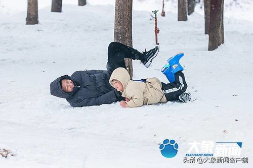 雪落下的声音短剧剧情资讯 雪落下的声音百科--第1张