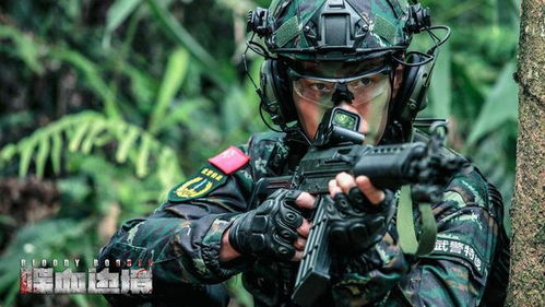 特战龙帅短剧剧情资讯 特种兵龙战--第1张