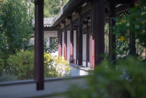 爱在咫尺天涯短剧剧情资讯--第1张