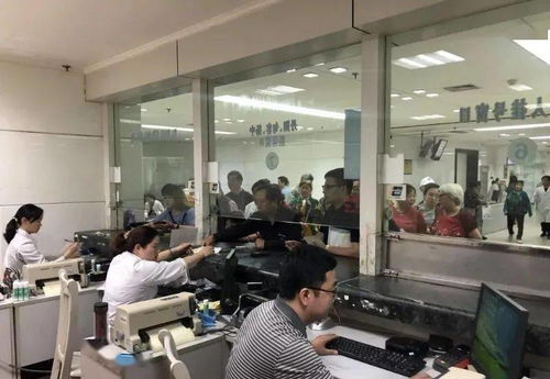 新版逆袭打工人短剧剧情资讯--第1张