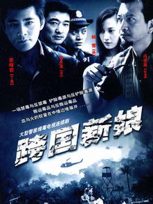 跨国追杀短剧剧情资讯在哪看--第1张