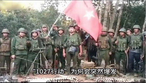 缅北战狼孤注一掷短剧剧情资讯--第1张