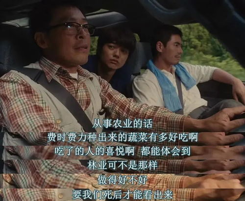 神级小厂长神人生短剧剧情资讯--第1张