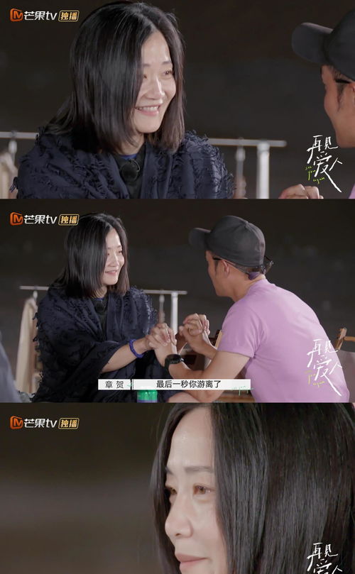 再见爱人短剧剧情资讯 再见爱人短剧剧情资讯大全--第1张