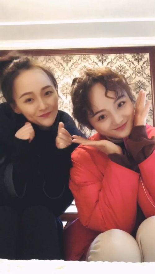 我的双胞胎姐妹短剧剧情资讯，我的双胞胎姐妹们的日常生活--第1张
