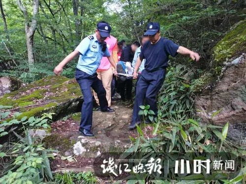 逃离博物馆，一场惊心动魄的短剧--第1张