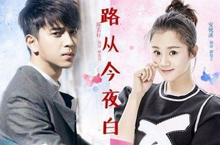 路从今夜白剧情简介--第1张
