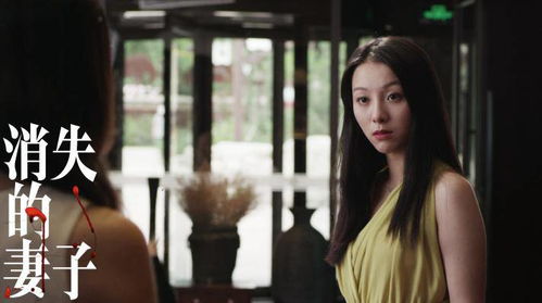 消失的妻子，短剧剧情揭秘--第1张