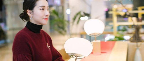 苏小姐的离婚之路，与残疾陆总的第四次婚姻--第1张