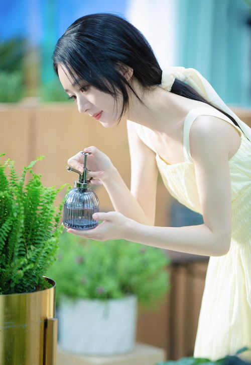 悔婚之后开始逆袭短剧全集剧情--第1张
