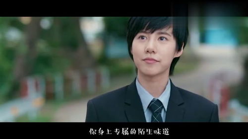错爱情深路短剧全集剧情，少放肆宠，剧情反转，爱情之路更加漫长--第1张