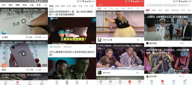 我的明日头条——短剧全集剧情--第1张