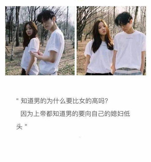 南有乔木，北有相思，爱你千万次短剧全集剧情--第1张
