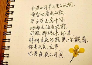 人间四月天剧情梗概--第1张