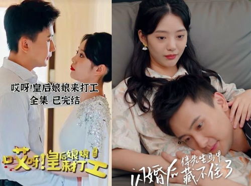 历总前妻，不好惹短剧全集剧情--第1张