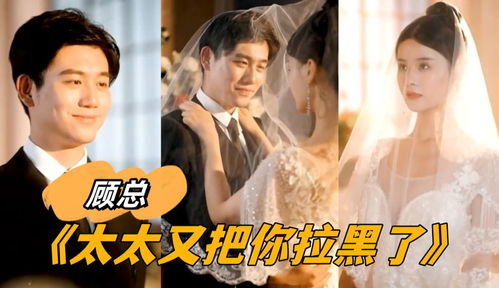 新顾总太太又把您拉黑了，总裁追妻火葬场--第1张