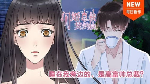 闪婚总裁契约妻，总裁，请温柔--第1张