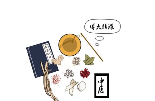 顽医妙手短剧全集，一部充满智慧与医术的精彩故事--第1张