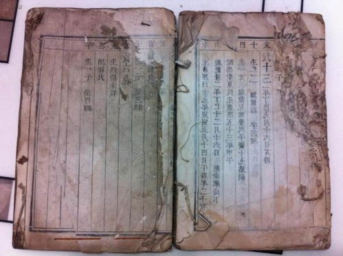 清明祭祖族谱为我单开一页--第1张