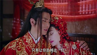 凤归巢短剧全集剧情 凤回巢电视剧主演--第1张