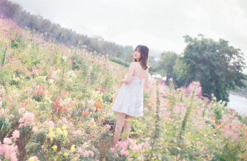 时光静待花开短剧全集剧情，花开半夏，时光静好。--第1张