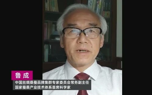 全球丧尸我打造了末世安全黄金屋合成版短剧全集剧情 全球丧尸无弹窗--第1张
