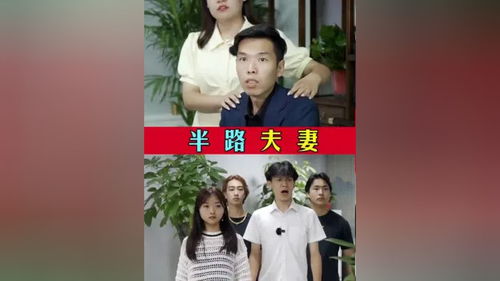 新版重拾短剧全集剧情，重拾人生分集介绍--第1张