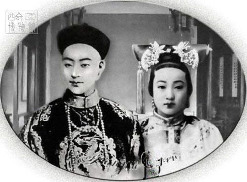 女帝求我当皇帝，皇宫签到百年，我对女帝摊牌了--第1张